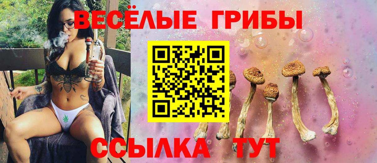 Белорецк  Галлюциногенные грибы прущие грибы  Вход с VPN 