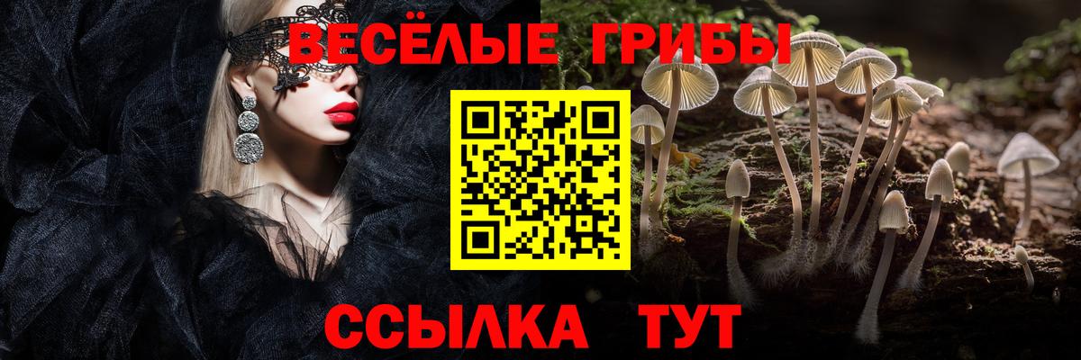 Галлюциногенные грибы ЛСД Белорецк